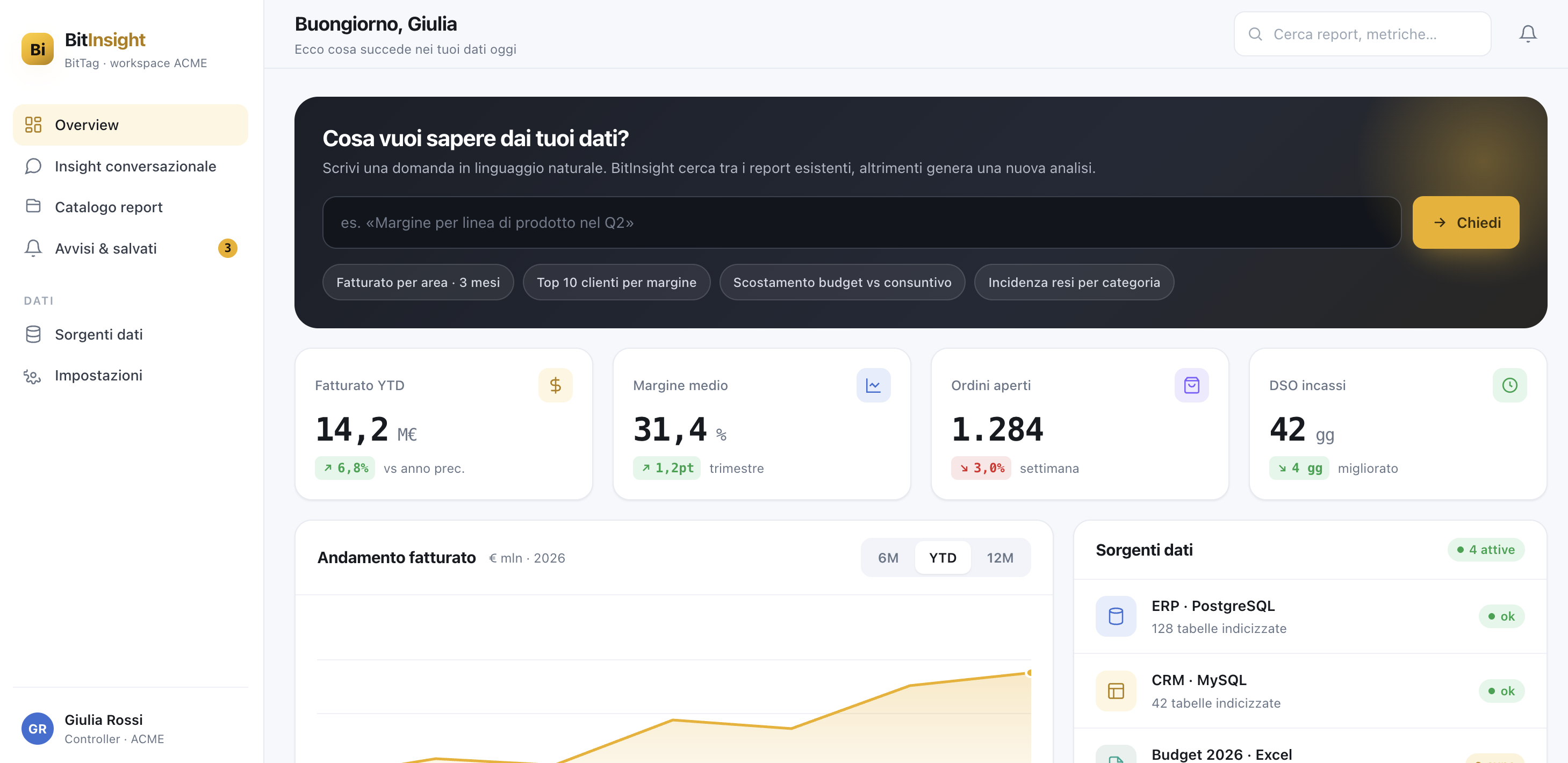 Dashboard Overview di BitINSIGHT con KPI, andamento fatturato e sorgenti dati connesse